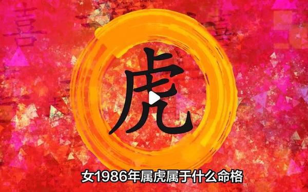属虎人最旺三个颜色(1962年虎女晚年靠谁) 属虎人最旺三个颜色(1962年虎女晚年靠谁)