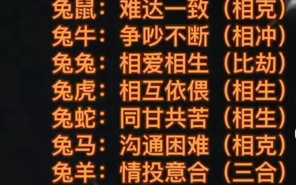 属兔最佳婚配前十名属相 属兔最佳婚配前十名属相