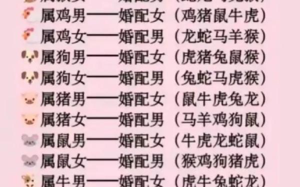 男兔女蛇属于上等婚姻(女蛇缠男兔是什么意思) 男兔女蛇属于上等婚姻(女蛇缠男兔是什么意思)