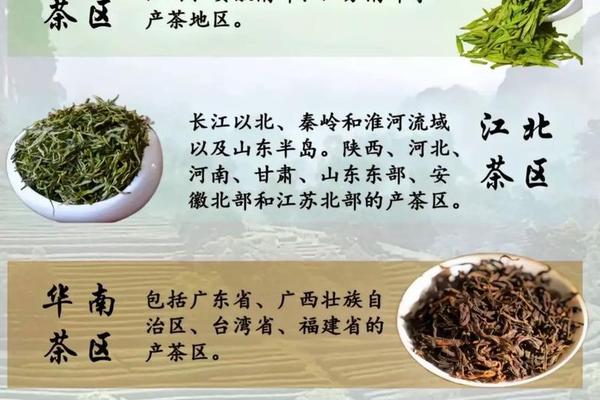中国茶文化知识与介绍视频 了解中国茶文化 中国茶文化知识与介绍视频 了解中国茶文化