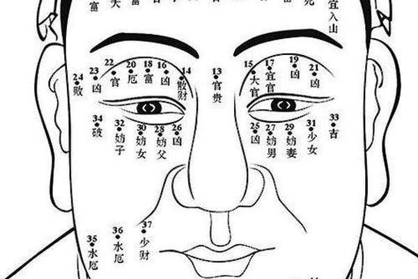 痣相全身图解大全 女-女人全身长痣高清图解
