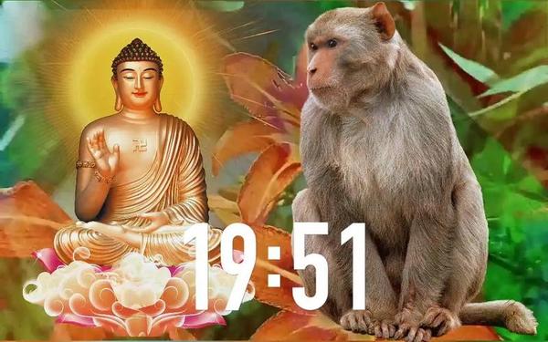 68年属猴婚配什么生肖好(92年的猴33岁有一劫) 68年属猴婚配什么生肖好(92年的猴33岁有一劫)