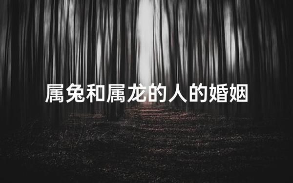 属兔的和属龙的能在一起吗婚姻 属兔的和属龙的能在一起吗婚姻