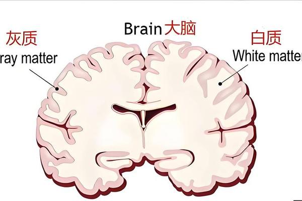 记忆减退忘记姓名