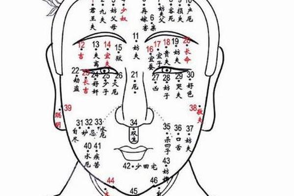 身上最好的16痣相男生(男人全身痣相图解命运) 身上最好的16痣相男生(男人全身痣相图解命运)