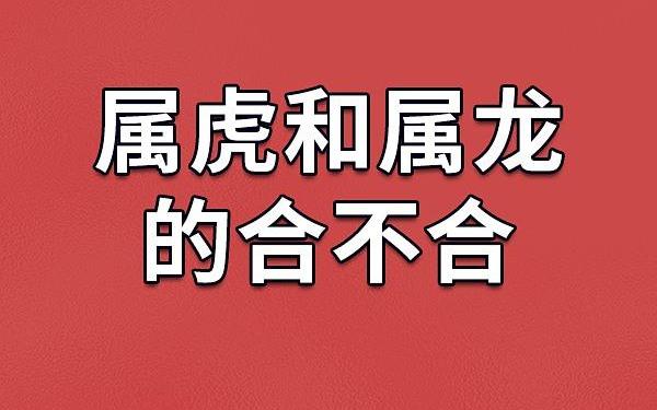 属虎和属龙能合作生意吗好吗(龙和虎合作生意怎么样) 属虎和属龙能合作生意吗好吗(龙和虎合作生意怎么样)