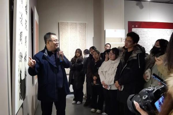 书法文化宣传片视频_书法讲座视频大全免费中央电视台