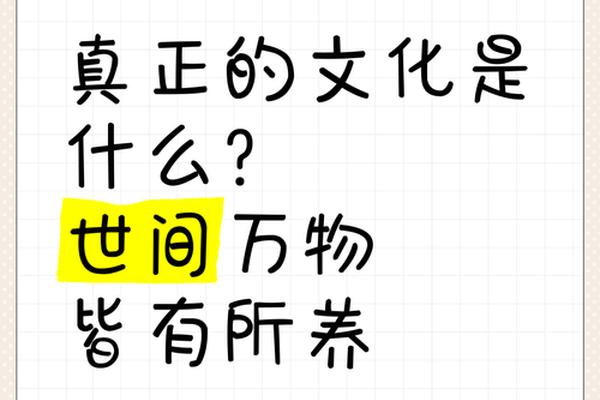 什么是真正的文化(什么才是中国的文化)