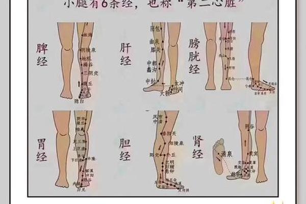 小腿内测痣相,小腿长痣代表什么意思