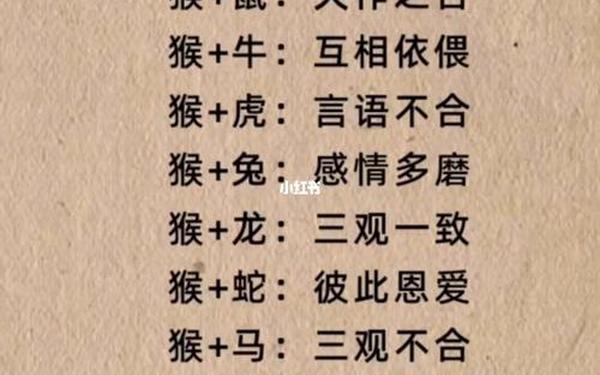 属猴的和属兔的能在一起吗(猴子和兔子属相合不合) 属猴的和属兔的能在一起吗(猴子和兔子属相合不合)