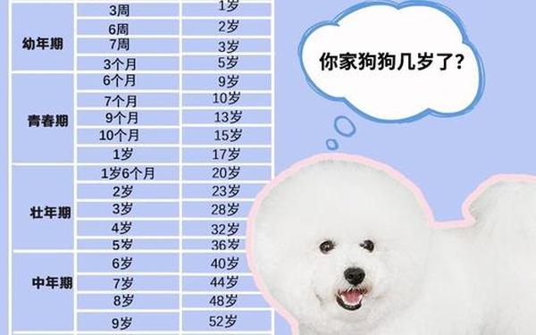 属狗的人今年几岁 2023 属狗的人今年几岁 2023