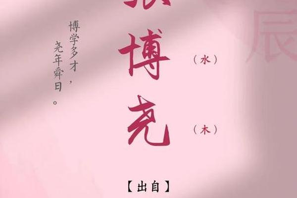 姓名张公子解析