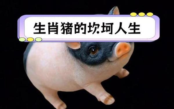 属猪的是哪年出生的多大了 属猪的是哪年出生的多大了