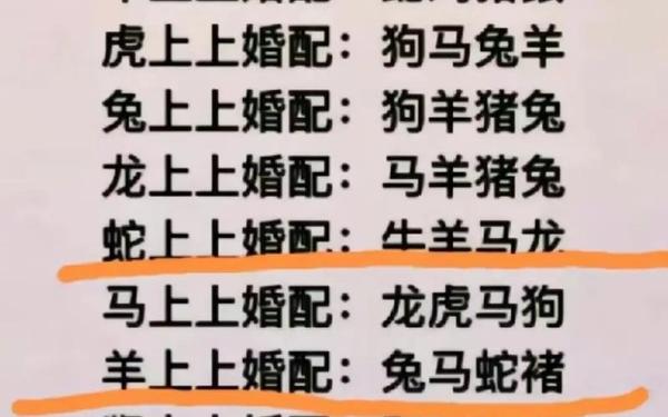 男属狗的最佳配偶 男属狗的最佳配偶