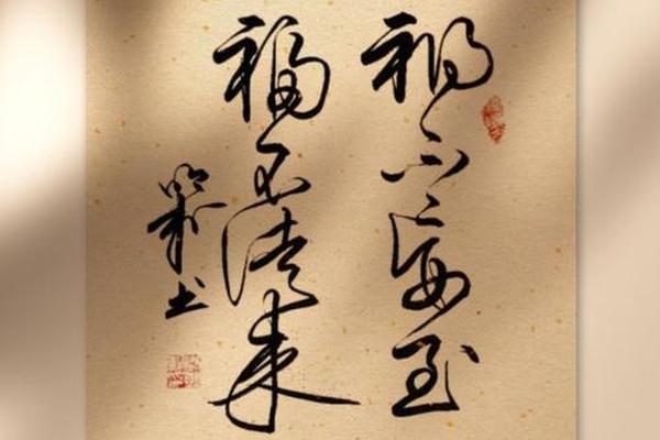 八字草书