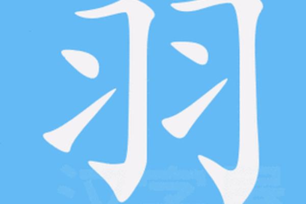 羽的八字