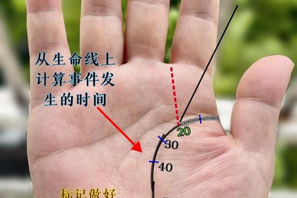 痣相不好的手相图解女,手掌痣相图解