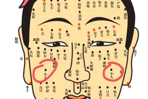 鼻子痣相女人图解—鼻子上痣相图解大全女