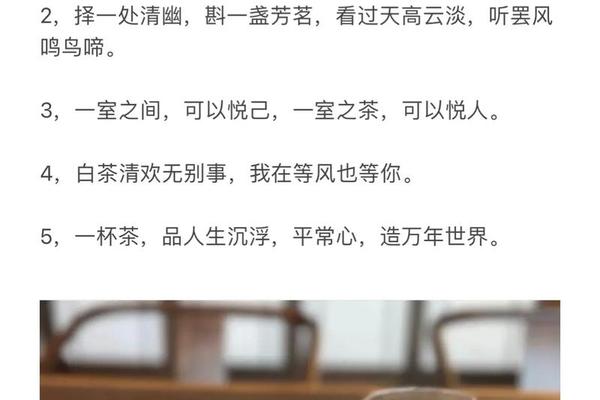 茶文化的经典句子简短精辟_一花一茶最火的一句