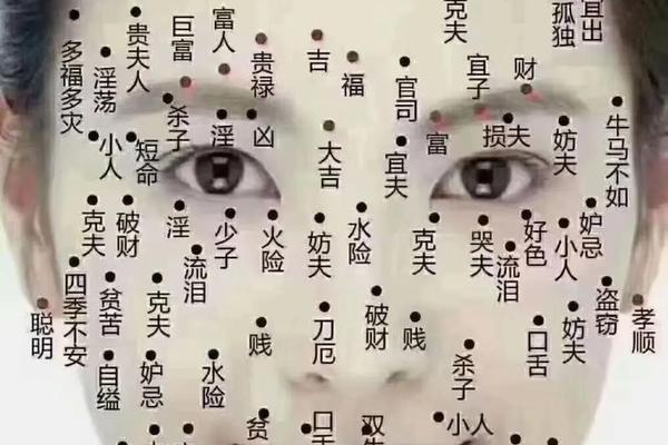 痣相不好的图解女人-女人全身痣的好坏图解