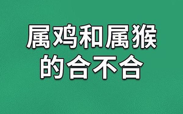 属猴与属什么相配婚姻—两只猴不到头是什么意思 属猴与属什么相配婚姻—两只猴不到头是什么意思
