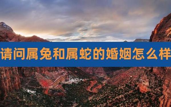 属兔的跟属蛇的合吗 属兔的跟属蛇的合吗