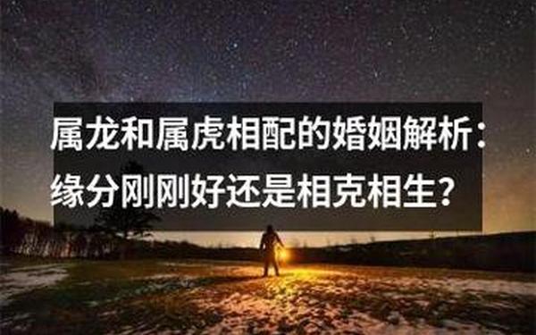 属虎和属龙属相好不好呢 属虎的和属龙的犯相吗