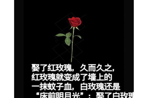 朱砂痣是相爱相杀(相爱相杀下一句是什么)