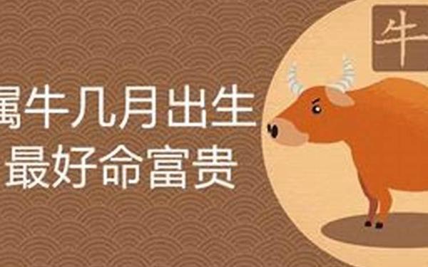 2009属牛的是什么命-2009属牛土命缺什么 2009属牛的是什么命-2009属牛土命缺什么