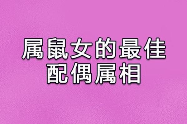 92猴男和96鼠女姻缘会长久吗