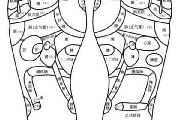 痣相脚底侧有痣(脚侧面有颗痣代表什么)