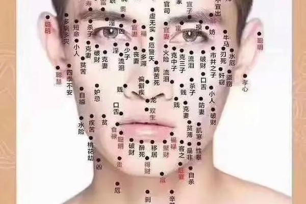 面部痣相男图左右(男子脸上的痣图解 面相图) 面部痣相男图左右(男子脸上的痣图解 面相图)