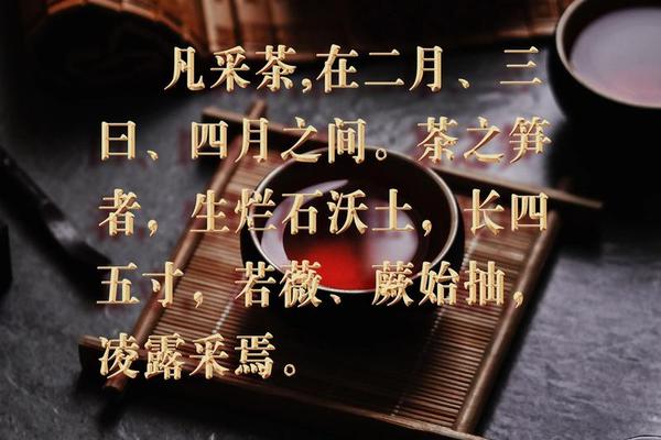 传统茶文化(传统茶文化的传承与创新)