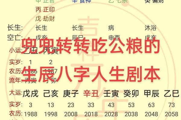 生辰八字指的是哪八字