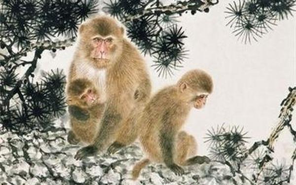 属虎和属猴做生意合财吗_属猴和属虎的人合作财运如何 属虎和属猴做生意合财吗_属猴和属虎的人合作财运如何