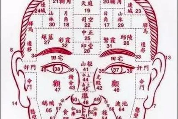 属相与痣相-周易面相痣相大全图解