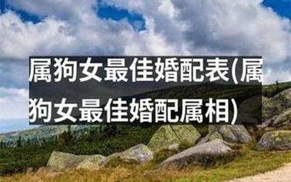 94年属狗女最佳婚配属相-1994属狗走大运在哪一年 94年属狗女最佳婚配属相-1994属狗走大运在哪一年