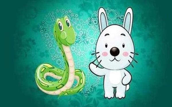 属兔和属蛇做生意合财吗 属兔和属蛇做生意合财吗