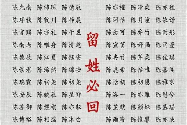 姓名陈测试打分