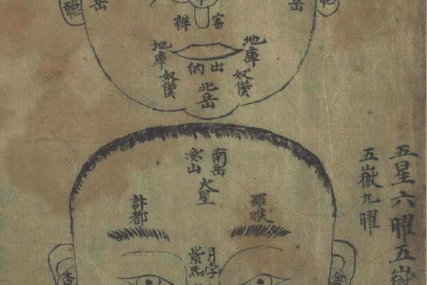 天下无痣麻衣神相全解_麻衣神相一般人能学吗