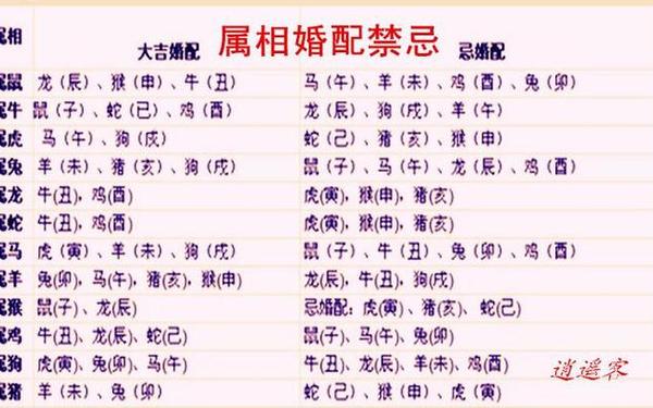 99年兔女的最佳婚配属相 99年兔女的最佳婚配属相