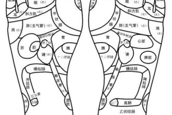 脚痣相图富贵相;男人脚相图解大全富贵