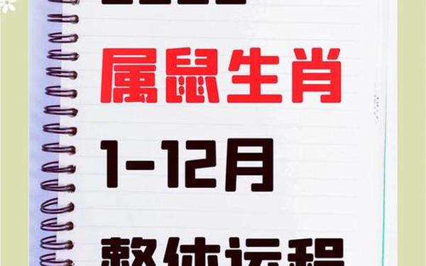 2020鼠年运势每月运势详解 属鼠的人2020年的运势及运程 2020鼠年运势每月运势详解 属鼠的人2020年的运势及运程