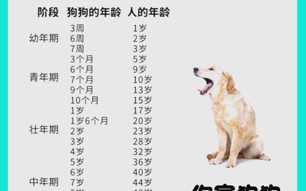 属狗的今年几岁了 属狗的今年几岁了