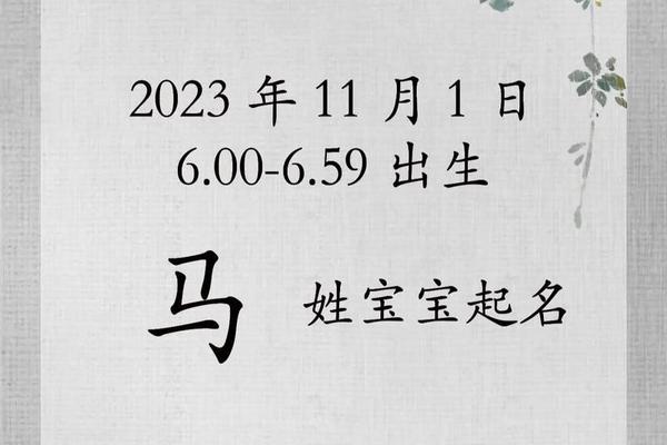 马宝宝起名字