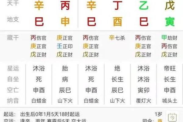 袁树珊八字