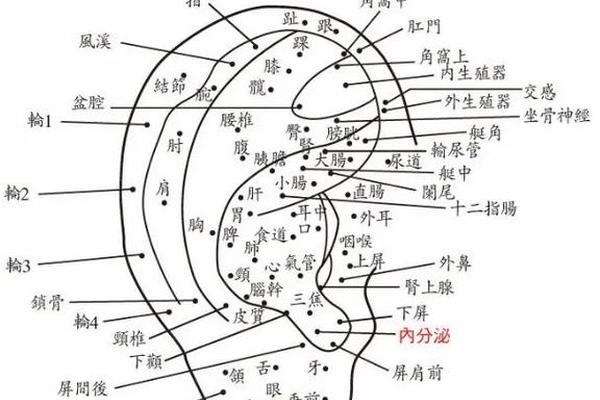 耳朵痣相详解 耳朵长痣代表什么图解