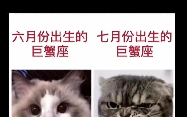 巨蟹座运势2月,很多人怕七月巨蟹女