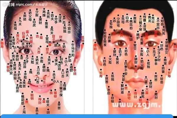 痣相算命大全—看脸痣算命图解 痣相算命大全—看脸痣算命图解