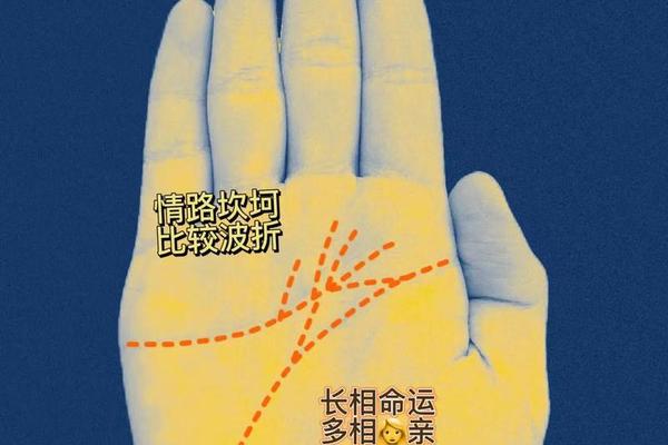面相手纹痣相、手纹看相算命图解